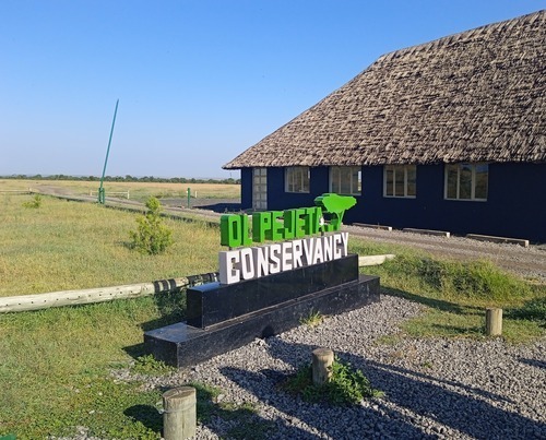 Ol Pejeta Safari Package